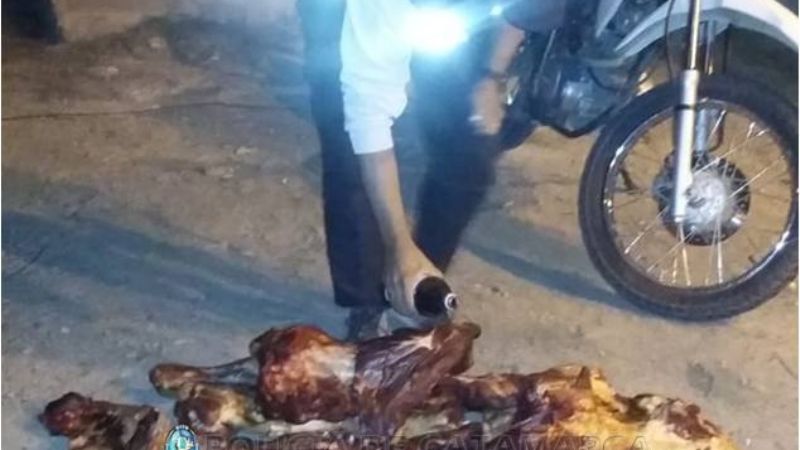 Decomisan carne vacuna en un puesto caminero de Valle Viejo