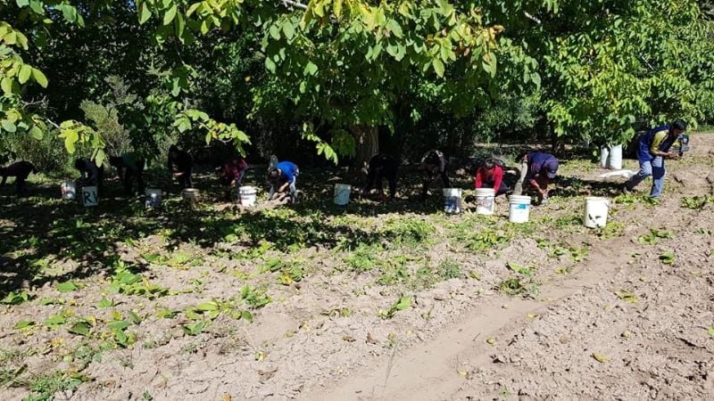 Productores de Belén preocupados por las pérdidas