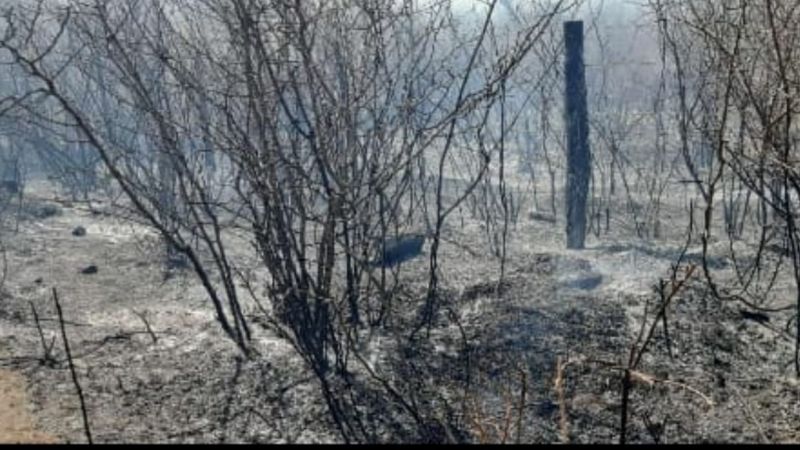 Se queman los campos entre El Corralito y Anjuli
