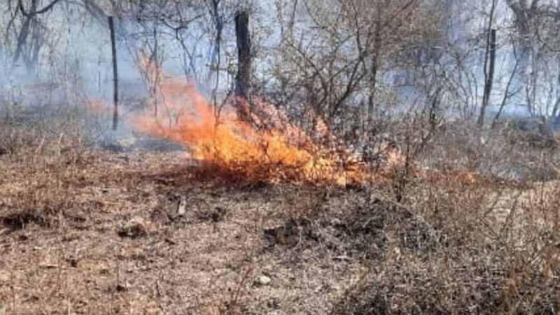 Se queman los campos entre El Corralito y Anjuli