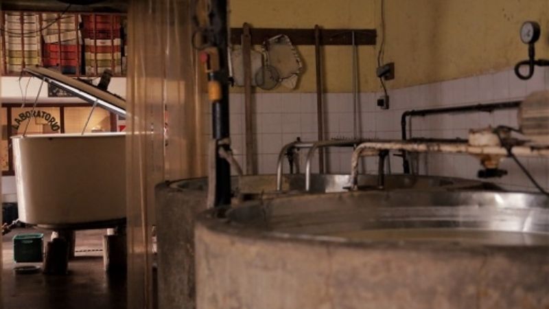 Crédito productivo a emprendimiento tambero