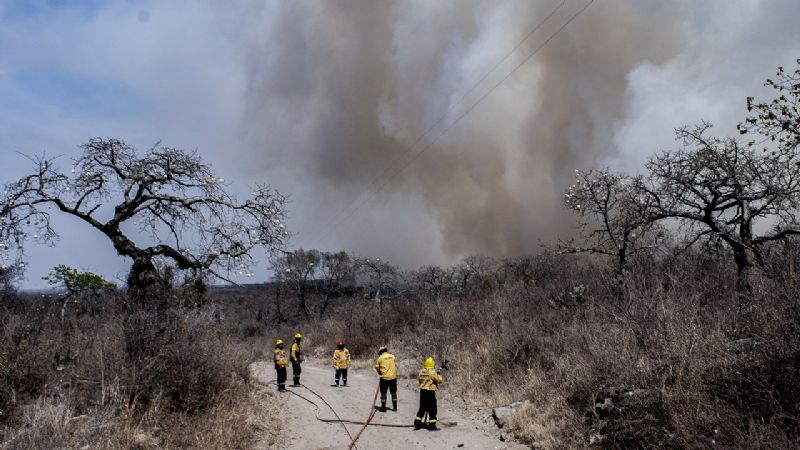 Fin de semana con diversos incendios forestales en la provincia
