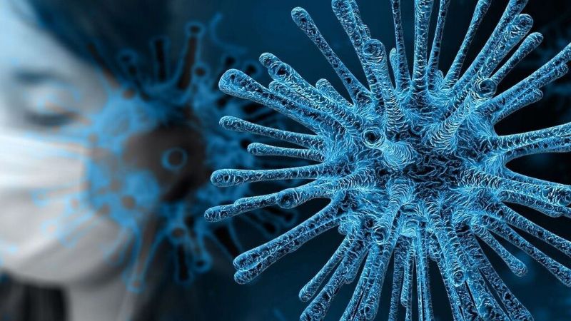La OMS confirmó cuál fue el origen del coronavirus