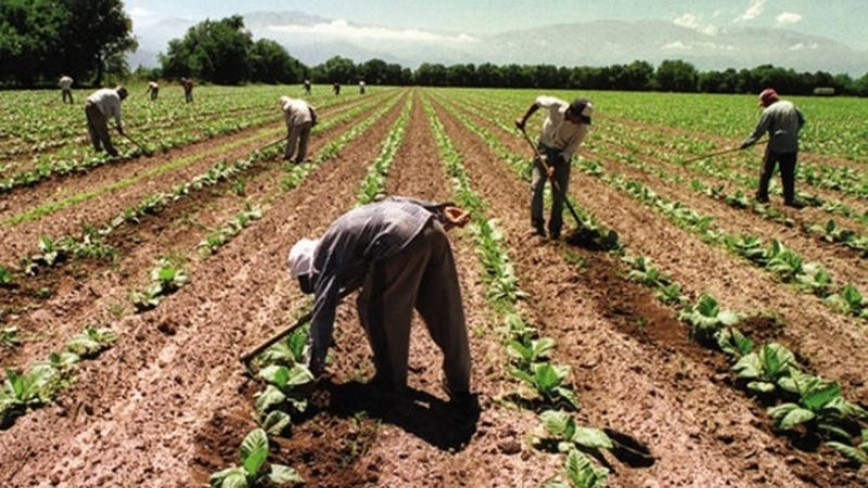 Aumento salarial para los trabajadores rurales permanentes