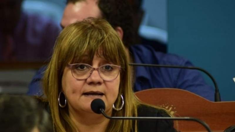 “La oposición sólo pretende poner palos en las ruedas y dilatar tiempos”