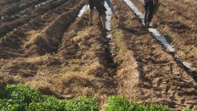 Acciones para el agro en Tinogasta