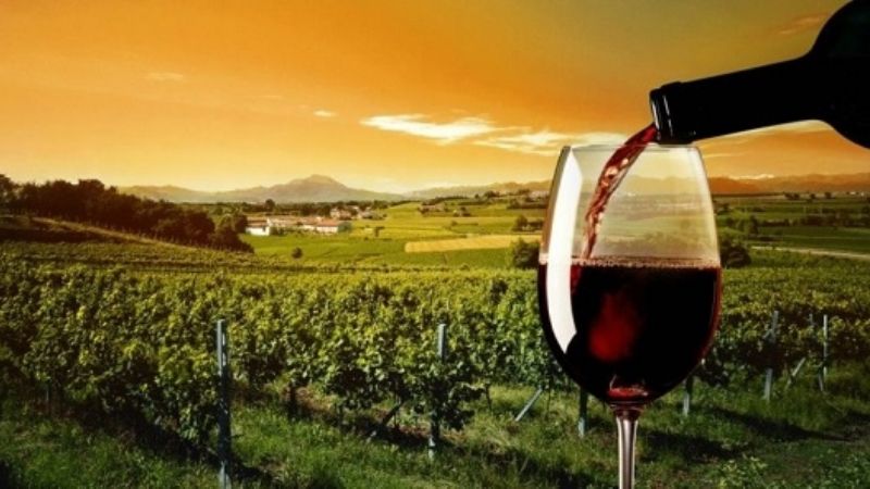 Oportunidad para el desarrollo del Enoturismo en Catamarca