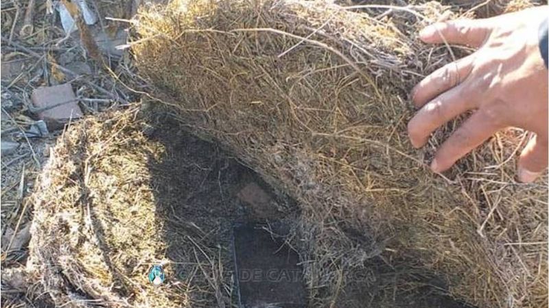 Encontraron un celular robado escondido en un descampado