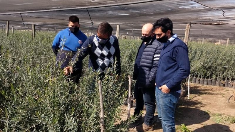 Capacitación en materia agrícola con salida laboral en Catamarca