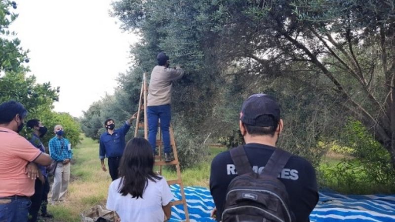 El RENATRE brinda capacitación en prácticas de cosecha