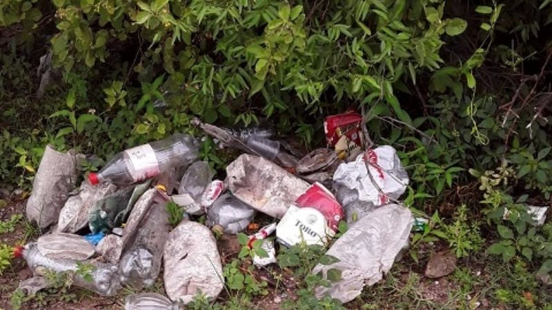 Acciones de limpieza en los diques provinciales