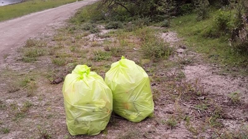 Acciones de limpieza en los diques provinciales