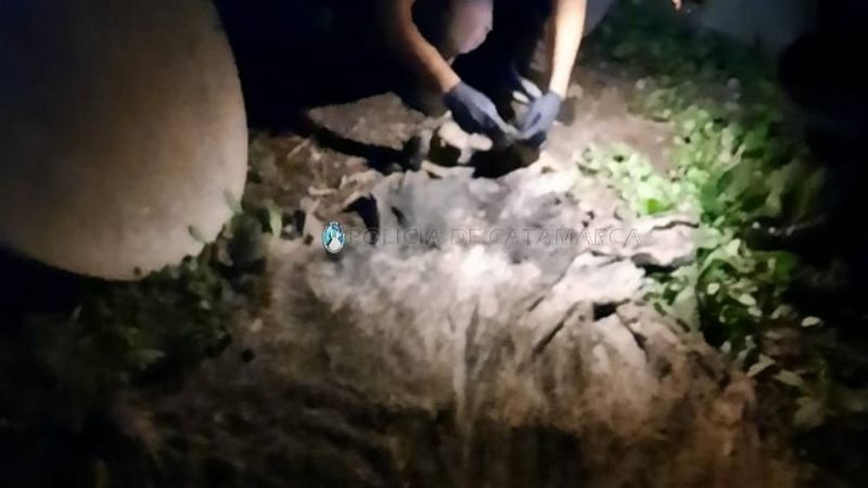 Le robaron un animal y lo encontraron faenado