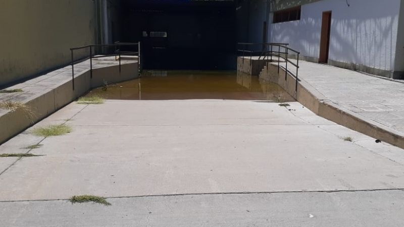 Vecinos alarmados por un gran reservorio de mosquitos en pleno centro