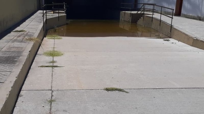 Vecinos alarmados por un gran reservorio de mosquitos en pleno centro