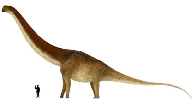 Descubren restos fósiles de dinosaurio que podría ser “el más grande de la historia”