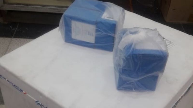 El hospital Malbrán ya cuenta con tratamientos de suero equino