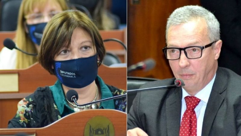“Qué virus atacó a Manzi…?” se pregunta la diputada Díaz