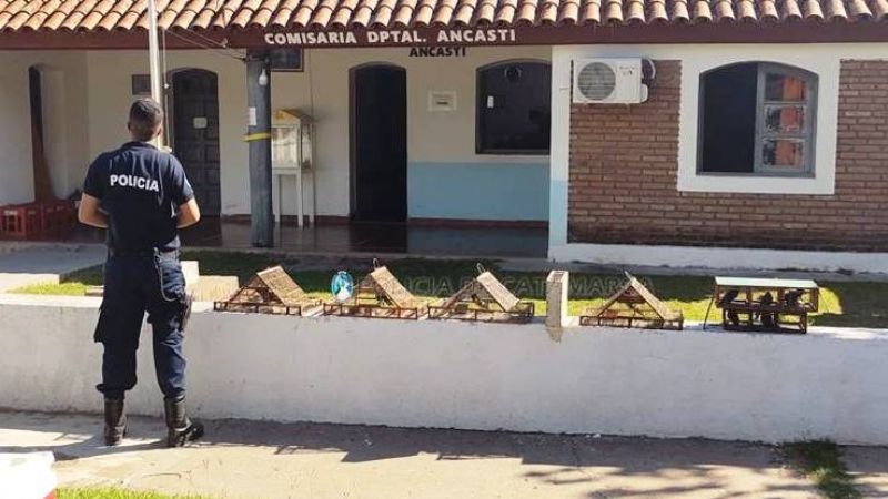 Secuestran aves canoras