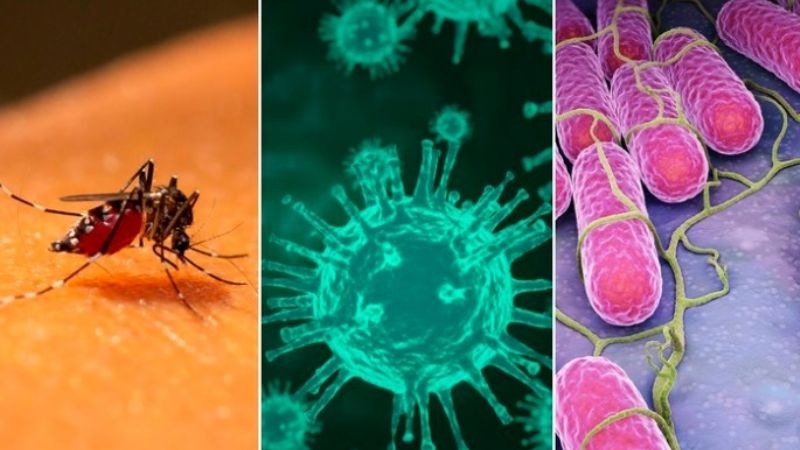 Confirmaron en Salta casos de pacientes con “coronadengue” y “coronasalmonella”