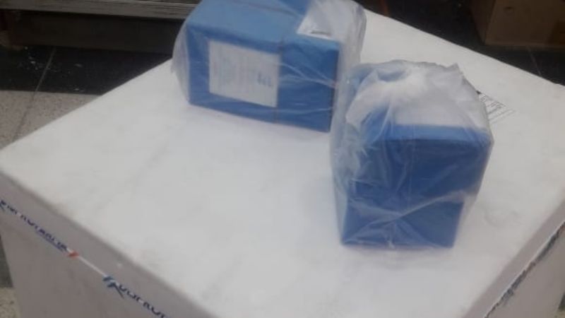 Una paciente recibió tratamiento con suero equino