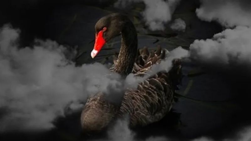 El mundo podría enfrentarse a nuevos "cisnes negros": ¿Otra pandemia?