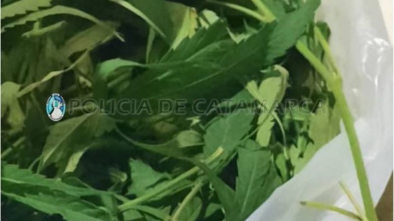 Evadió un control y lo atraparon llevando una bolsa con 139 gr. de marihuana