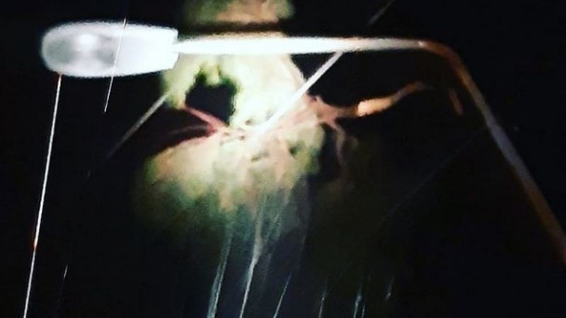 Temporal: informe de la situación eléctrica