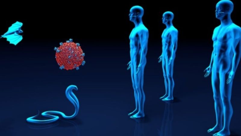 El Malbrán confirmó la presencia de la variante de Río de Janeiro