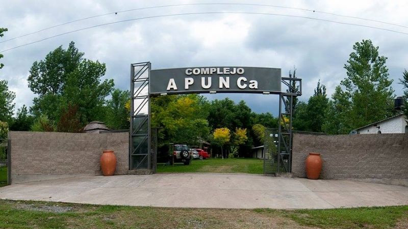 "Feedlot" provoca olor nauseabundo y hay malestar en Las Lajas