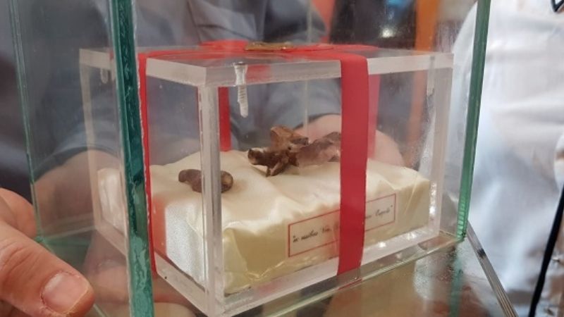 La Municipalidad de Belén recibió las reliquias de Esquiú