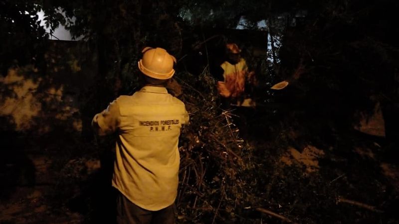 Inconvenientes por el fuerte viento y lluvia