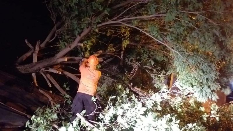 Inconvenientes por el fuerte viento y lluvia