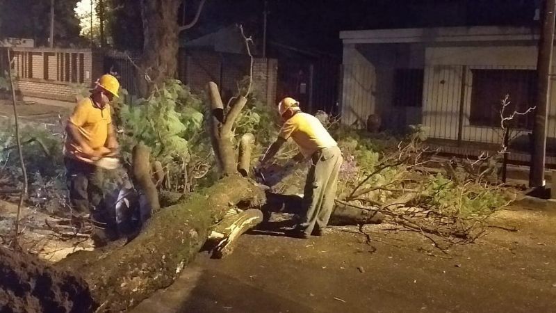 Inconvenientes por el fuerte viento y lluvia