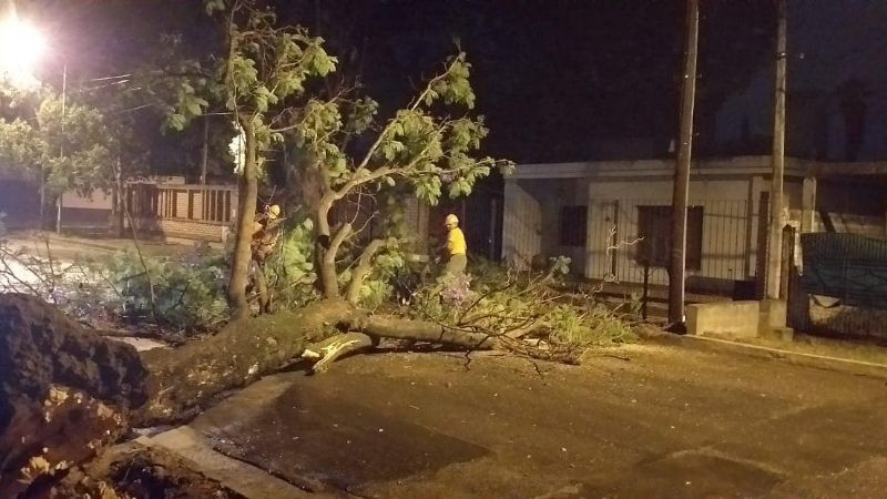Inconvenientes por el fuerte viento y lluvia