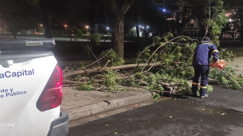 Intenso operativo del municipio por el temporal