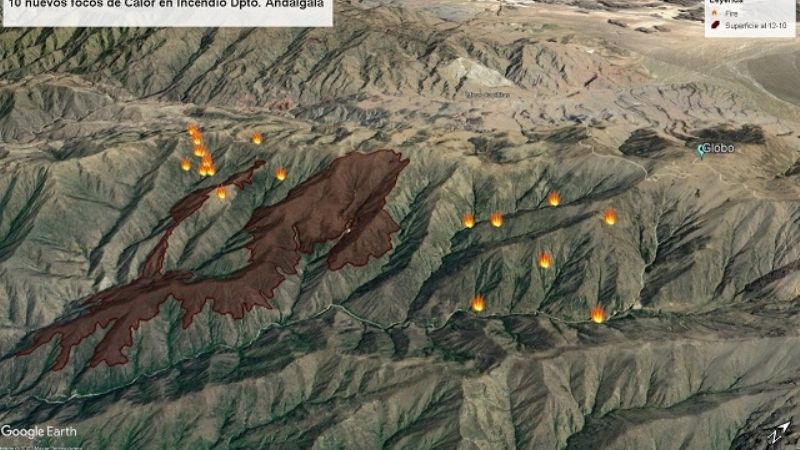 Increíble: nieve apagó incendio forestal