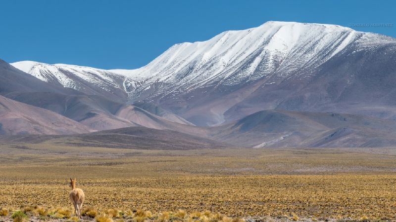 Día Mundial de Protección de la Naturaleza