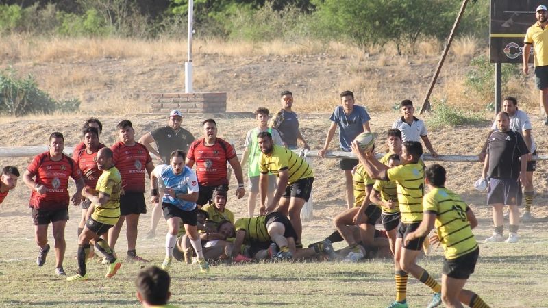Hurones líder, invicto y clasificado a las semifinales