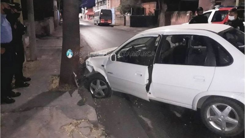 Chocó contra un árbol