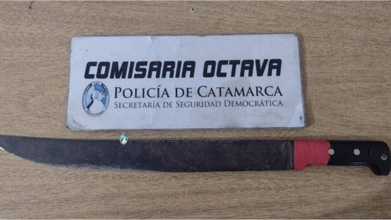 Mujer detenida por intentar agredir con un machete a su pareja