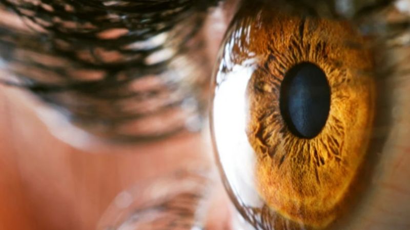 Falta de córneas: advierten que por una disposición oficial no pueden hacer trasplantes