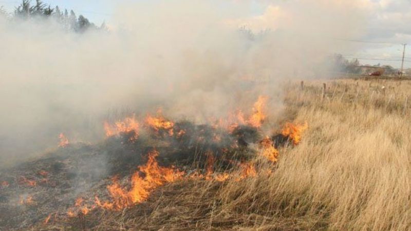 Incendio de pastizales en el Predio Ferial