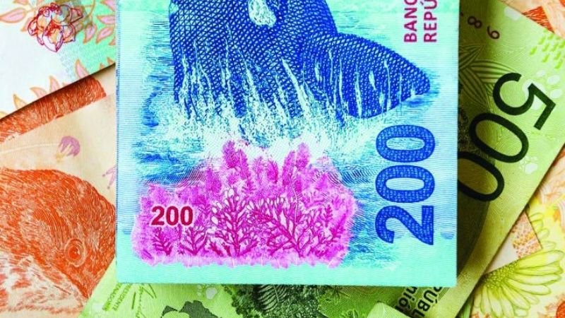 Calendario de pagos de ANSES: ¿quiénes cobran hoy?