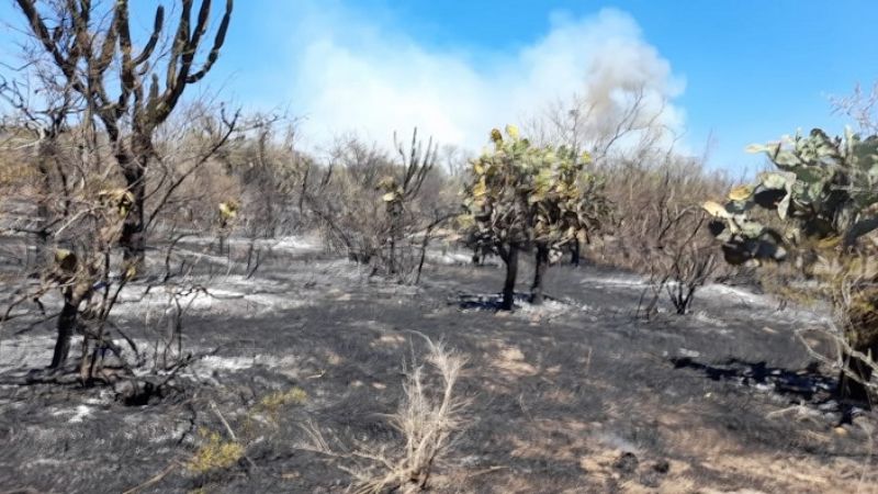 Catamarca vivió un verdadero infierno con fuego, viento y más de 40°