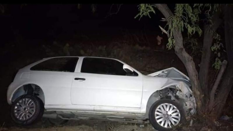 En Santa María un automovilista se estrelló contra un árbol