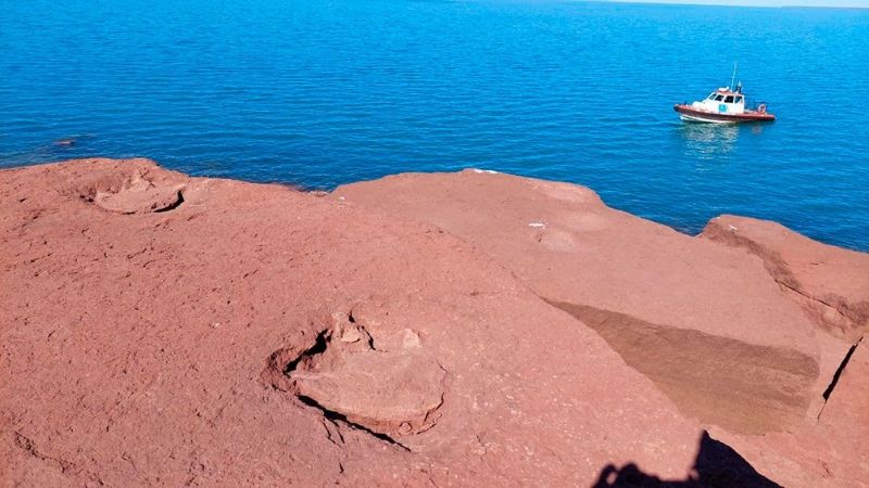 Encuentran huellas prehistóricas de un dinosaurio en la Patagonia