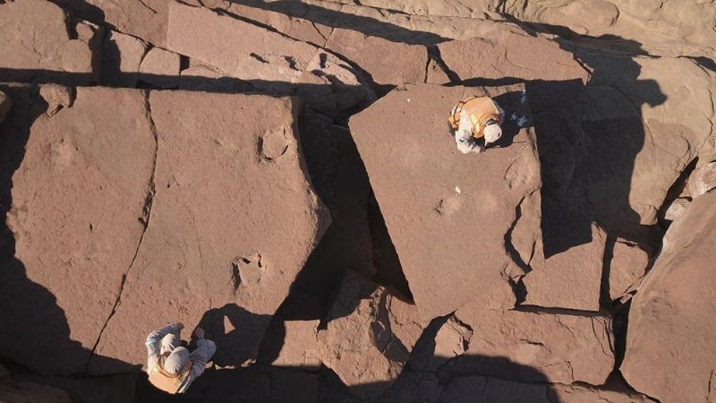 Encuentran huellas prehistóricas de un dinosaurio en la Patagonia