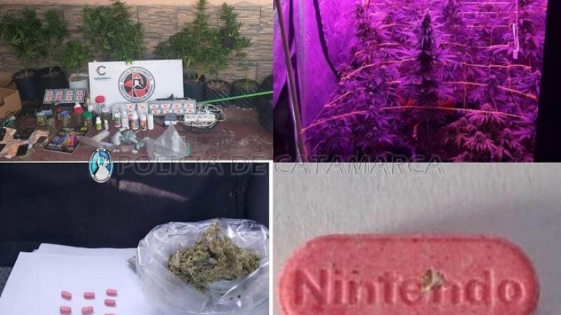 En allanamientos secuestran droga y dinero en efectivo