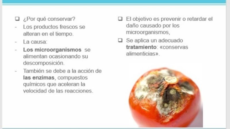 Más de cien docentes se capacitaron en elaboración de conservas